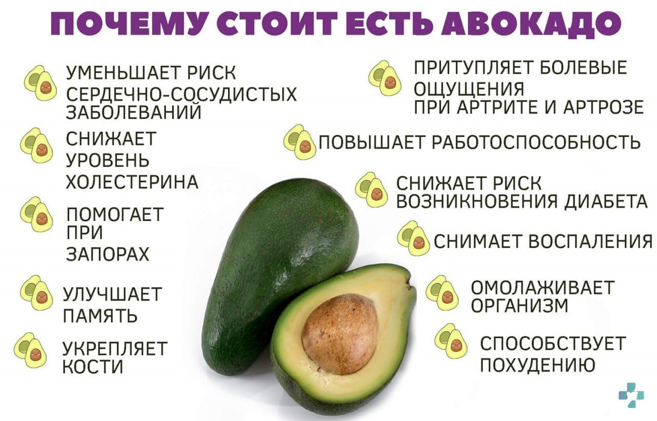 🥑 Благодаря сочной мякоти <b>авокадо</b> можно существенно, а главное, быстро, уб...