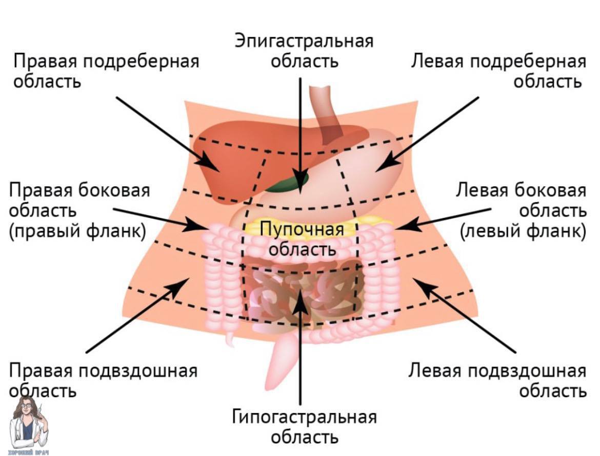 Болит правее пупка что это. Болит правее пупка что это. Боль в правом стороны живота спереди. Болит правее пупка что это. Болит правее пупка что это.