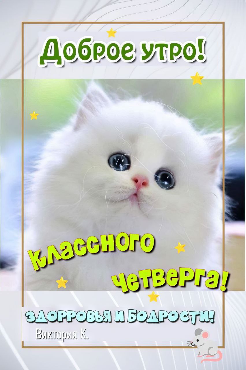 Классного четверга картинки