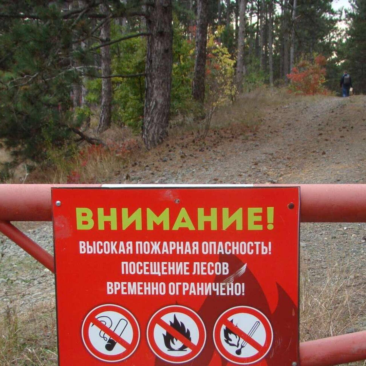 Запрет на посещение лесов в свердловской. Запрет на посещение лесов в свердловской