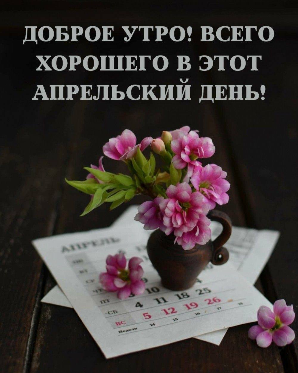 Доброе апрельское утро