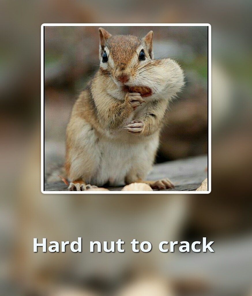 D nt. Hard nut to crack. Tough nut to crack. A hard/tough nut to crack. To nut.