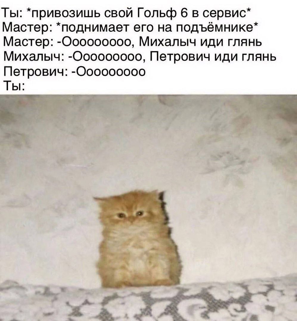 Иди глянь. Кот идет. Анекдот про пограничника и его собаку. Иди глянь. Глобус в руки и иди с миром.