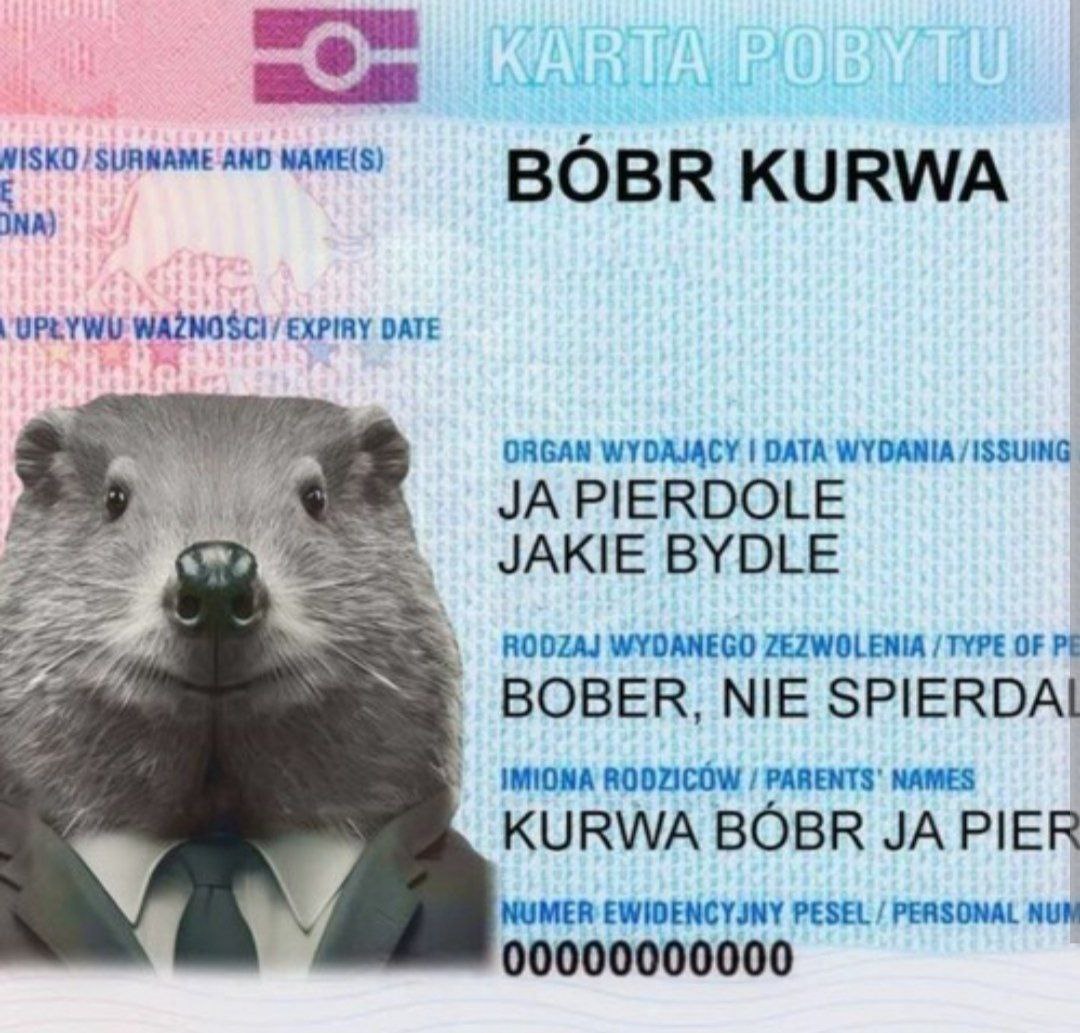 Bobr kurwa ya perdole. Бобер kurwa. Футболист bobr kurwa. Bobr kurwa эмблема.