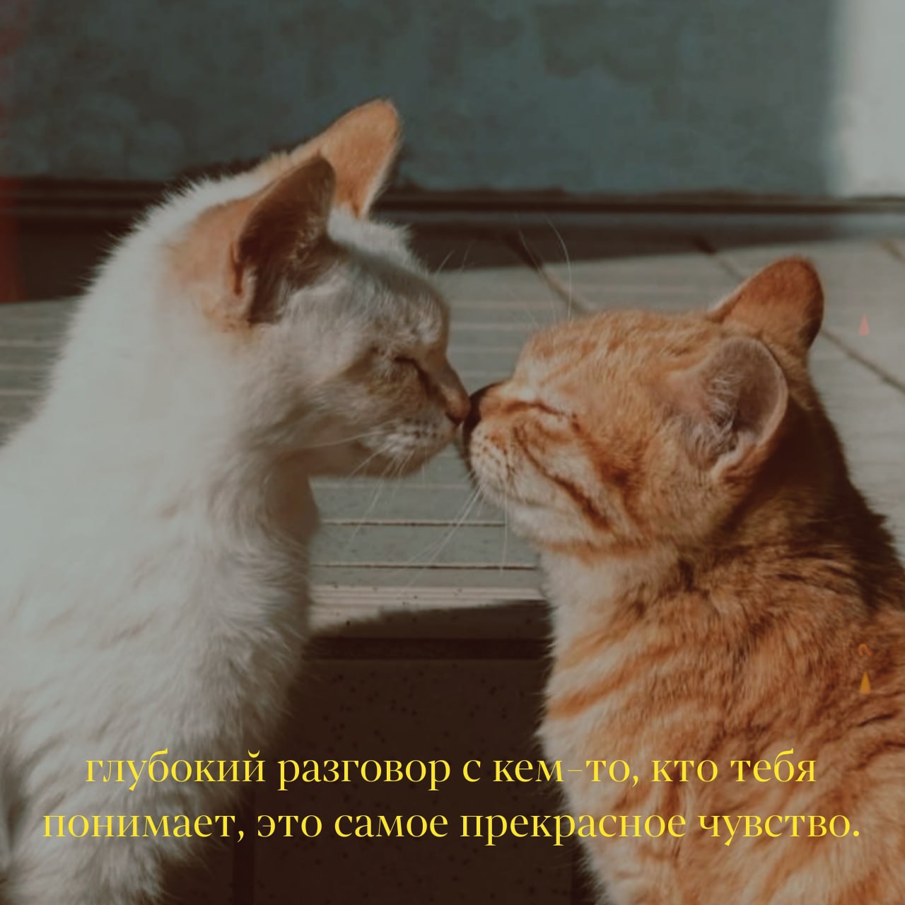 Заливы нежностей подходят лишь для лесби Заливы нежностей подходят лишь для лесби