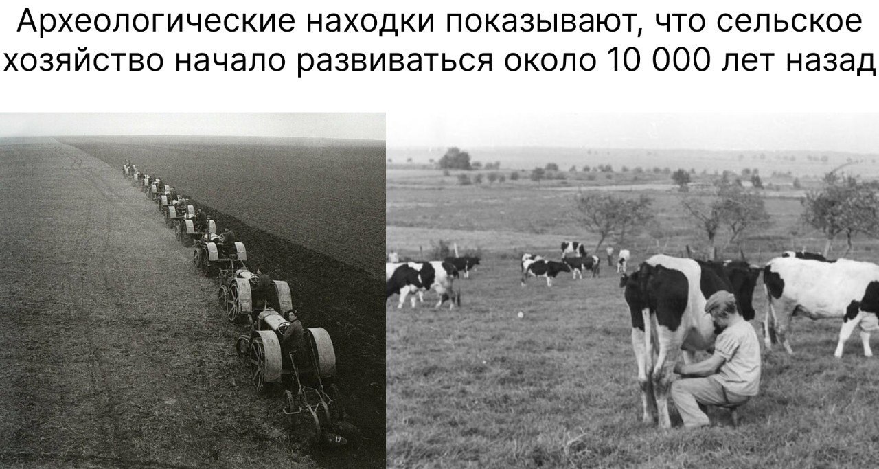 Это привело к тому что