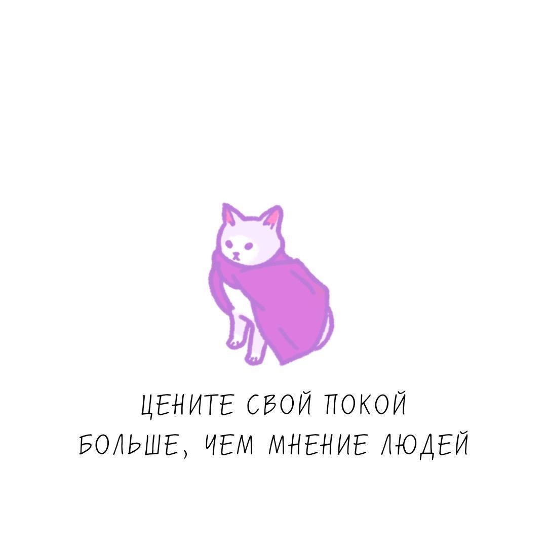 Правда и котики телеграмм