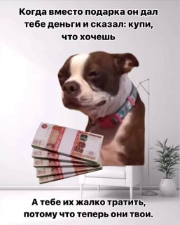 Чтобы сразу дала подарил дорогой телефон Чтобы сразу дала подарил дорогой телефон
